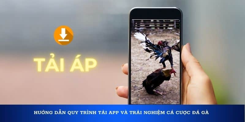 Hướng dẫn quy trình tải app và trải nghiệm cá cược đá gà