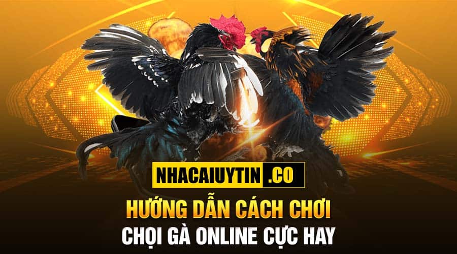 Hướng dẫn cách chơi chọi gà online cực hay