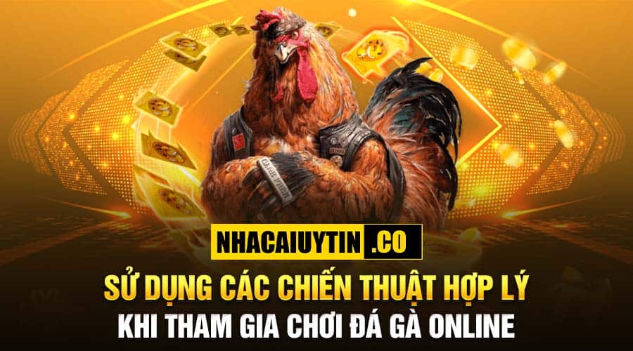 Sử dụng các chiến thuật hợp lý khi tham gia chơi đá gà online