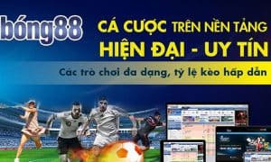 Tổng quan nhà cái Bong88